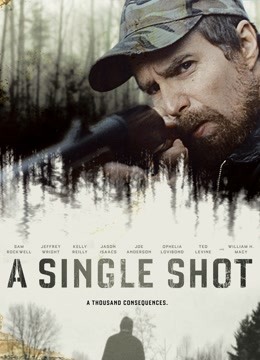 致命一击第二季0第三季