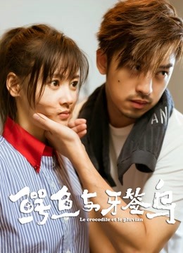 鳄鱼与牙签鸟dvd