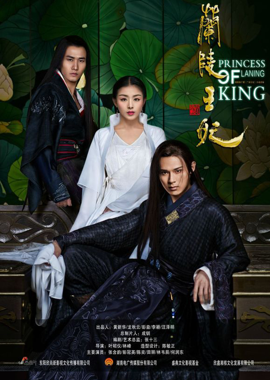 兰陵王妃d第五季d