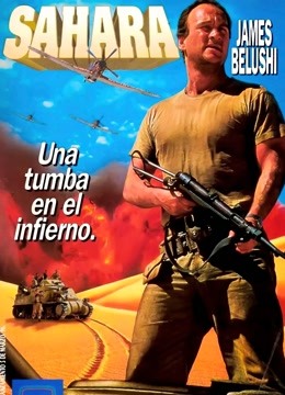 撒哈拉第九季第九季第五季