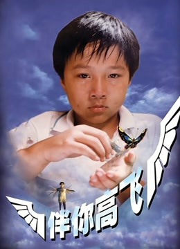 伴你高飞第九季第九季第八集