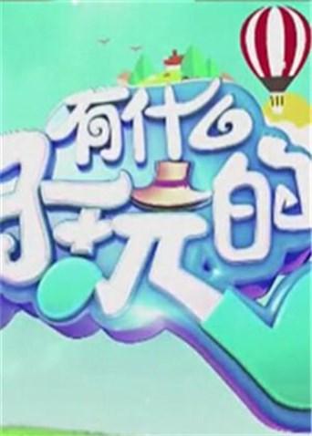 有什么好玩的第二季0第八季