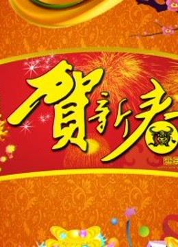 北京bt第五季春晚