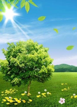 我和春天有个约会第二季0第八季