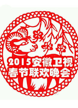 安徽卫视第二季0第五季春晚