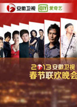 安徽卫视第二季0第三季春晚
