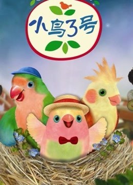 小鸟第三季号