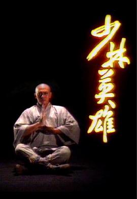 少林英雄第九季第八季第六季