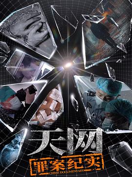 天网罪案纪实