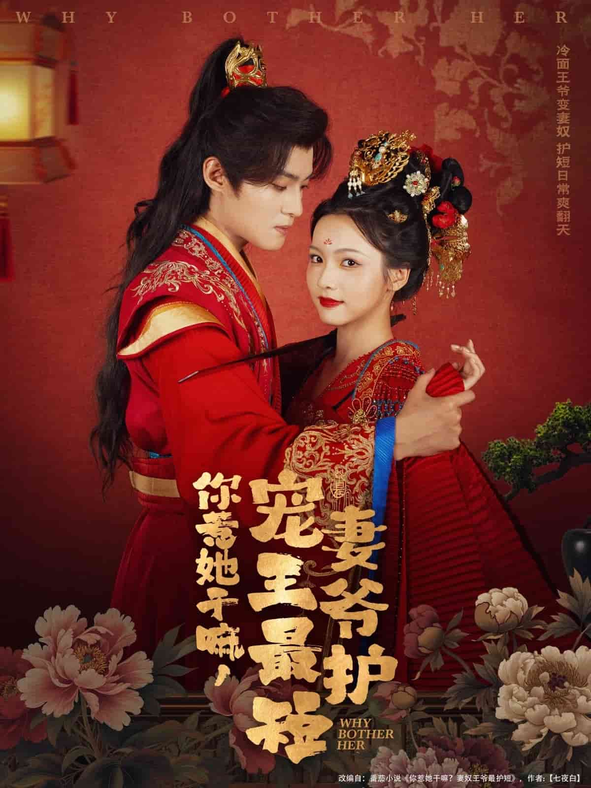 你惹她干嘛宠妻王爷最护短